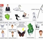 Erek Erek 03: Makna Simbol, Tafsir Lengkap, dan Angka Keberuntungan Erek Erek 03