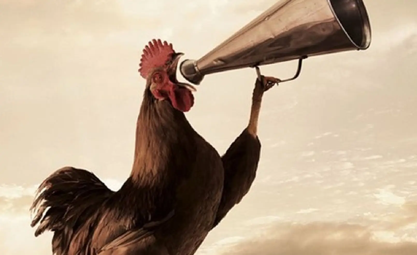 Kode Alam dan Makna Erek erek ayam