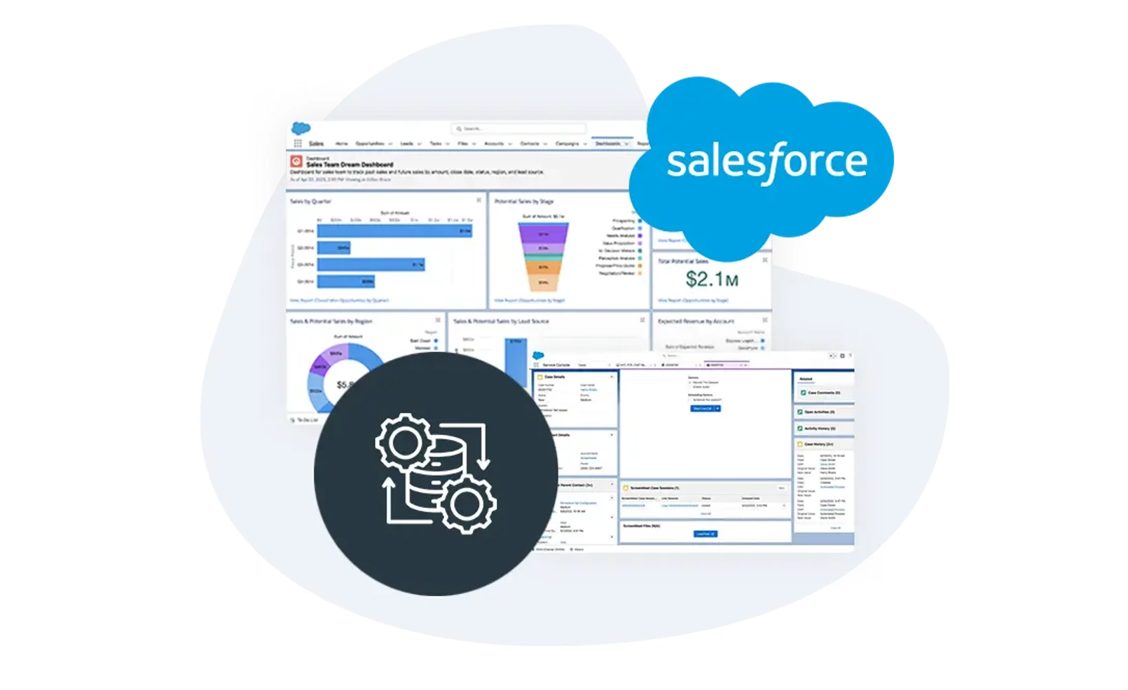 salesforce customization services